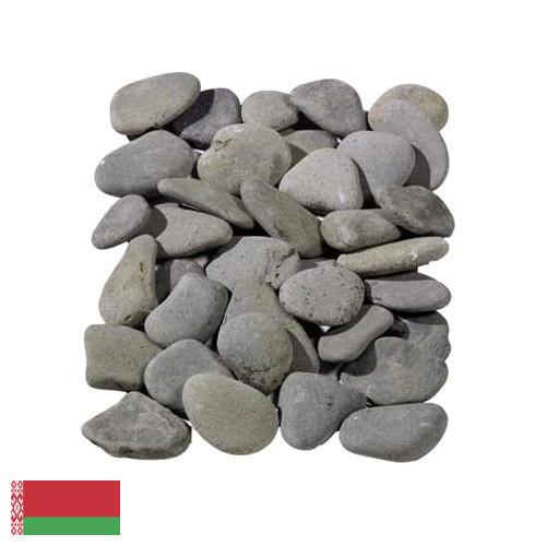 косточки из Беларуси