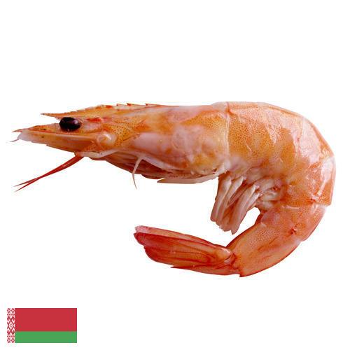 Креветки из Беларуси