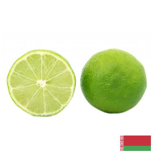 лайм из Беларуси