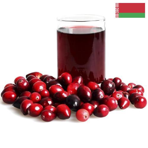 морс клюквенный из Беларуси