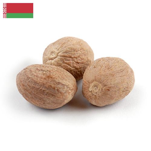Мускатный орех из Беларуси