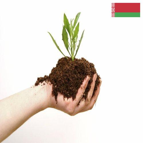 Органические удобрения из Беларуси