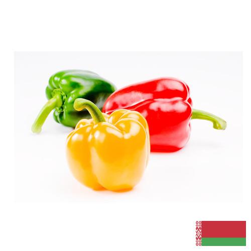 Перец сладкий из Беларуси
