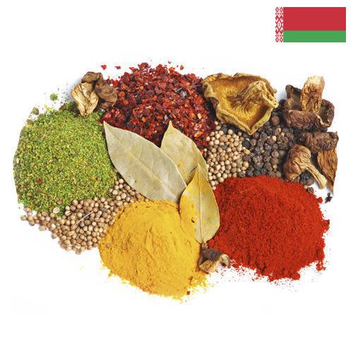 пряности из Беларуси