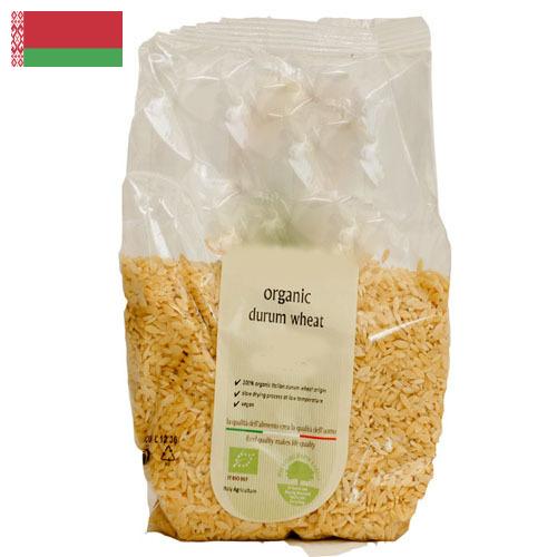 пшеница твердая из Беларуси
