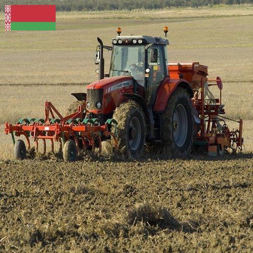 сельхозтехника из Беларуси