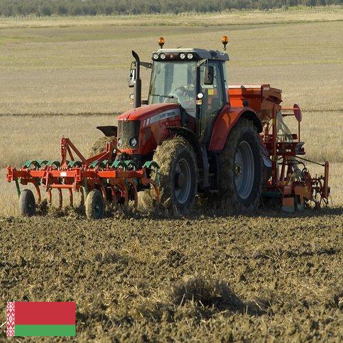 Сельскохозяйственное оборудование из Беларуси