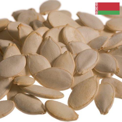 Семена тыквы из Беларуси