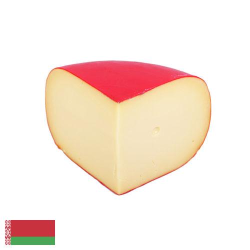 сыр гауда из Беларуси