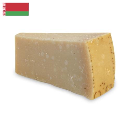сыр пармезан из Беларуси