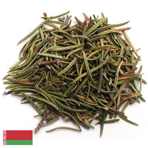 Травы сушеные из Беларуси