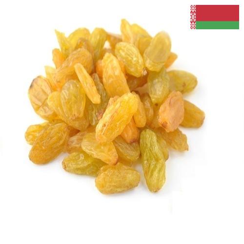 виноград сушеный из Беларуси