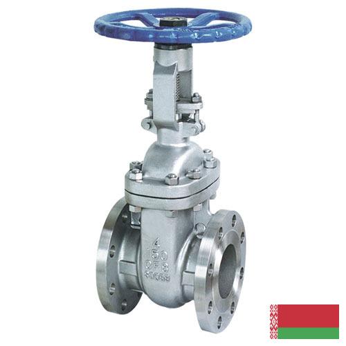 Задвижки трубопроводные из Беларуси