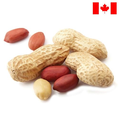 Арахис из Канады