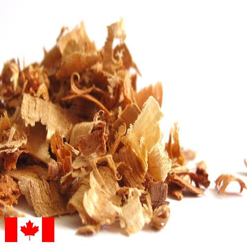 Древесная стружка из Канады