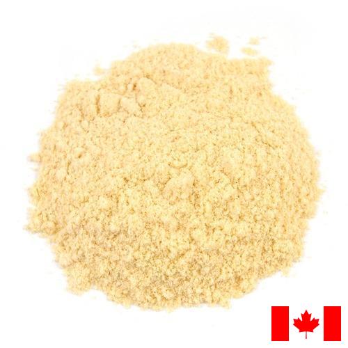 Горчичный порошок из Канады