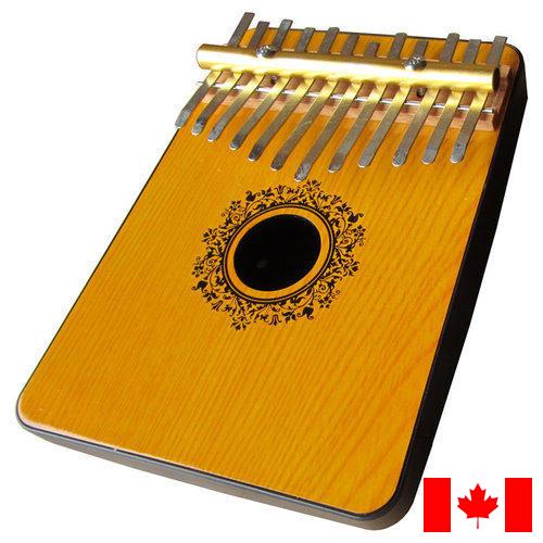 Инструменты ударные из Канады