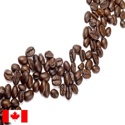 Кофе в зернах из Канады