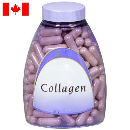 Коллаген из Канады