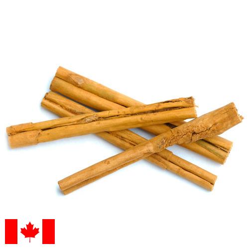 Корица из Канады