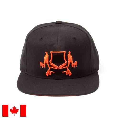 Козырьки из Канады