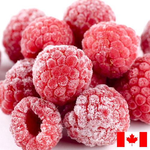 малина замороженная из Канады