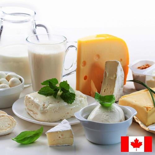 Молочные продукты из Канады