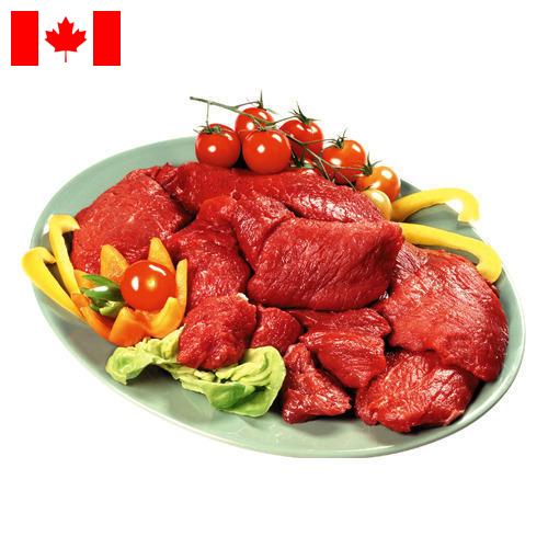 Мясные продукты из Канады