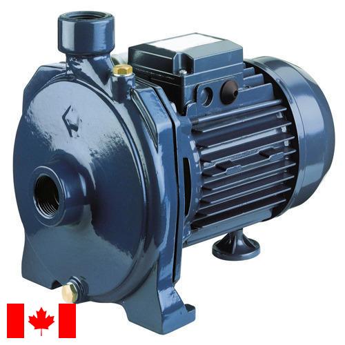 насос с электродвигателем из Канады