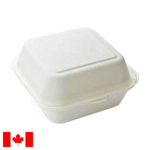 Одноразовые контейнеры из Канады