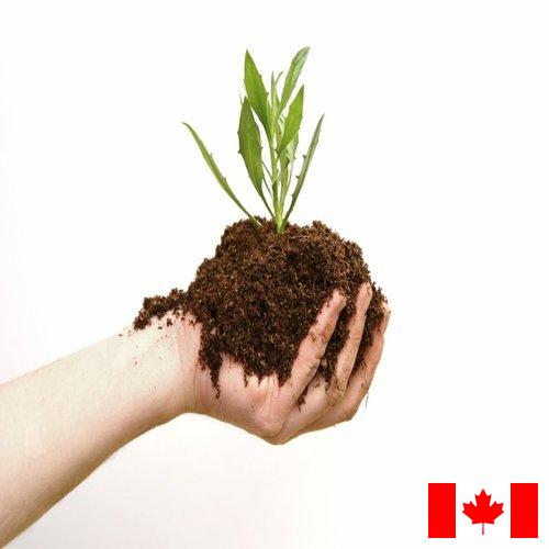 Органические удобрения из Канады