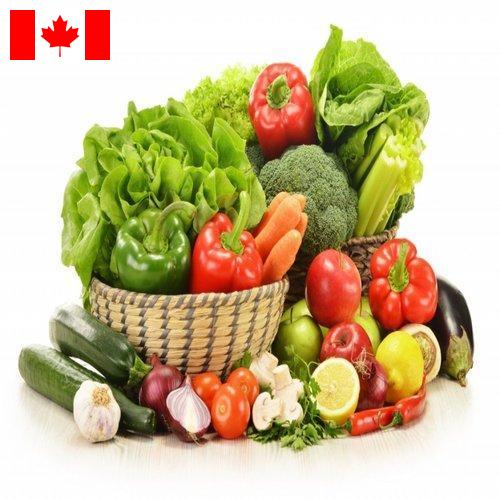 Овощи свежие из Канады
