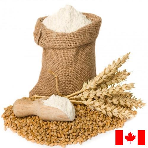 Пшеничная мука из Канады