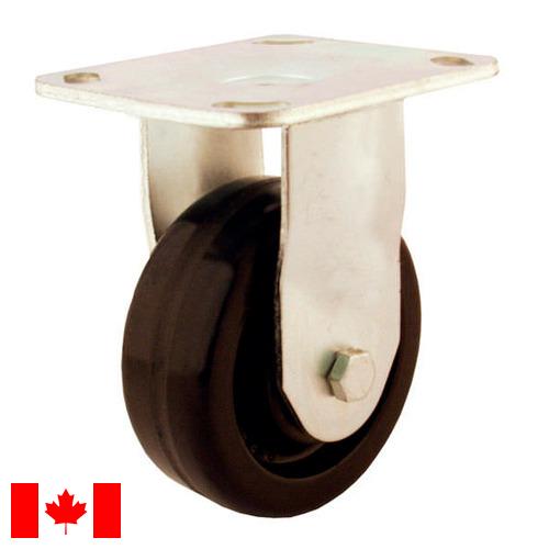 Ролики из Канады