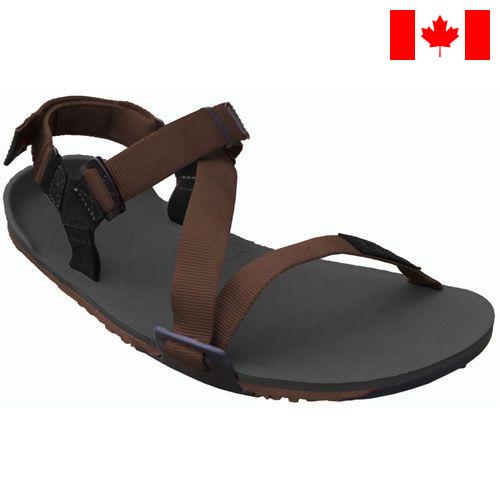 Сандалии мужские из Канады