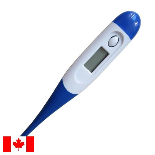 Термометры цифровые из Канады