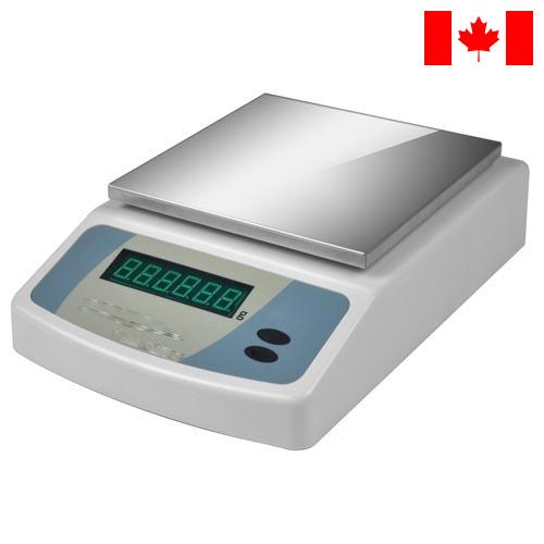 весы электронные из Канады