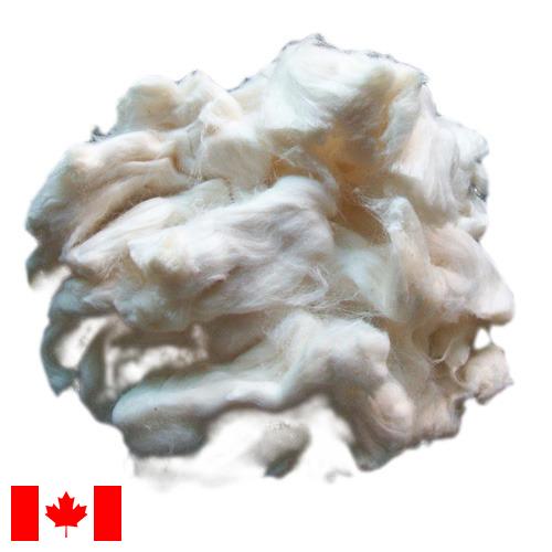 вискоза из Канады