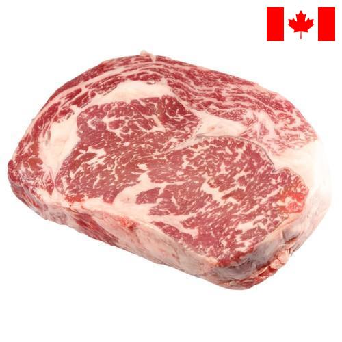 замороженного мясо из Канады