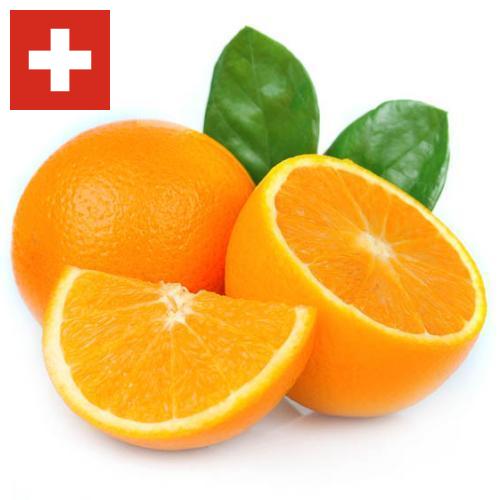 апельсины свежие из Швейцарии