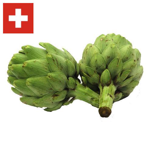 артишок из Швейцарии