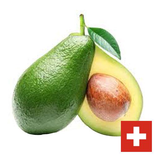 Авокадо из Швейцарии