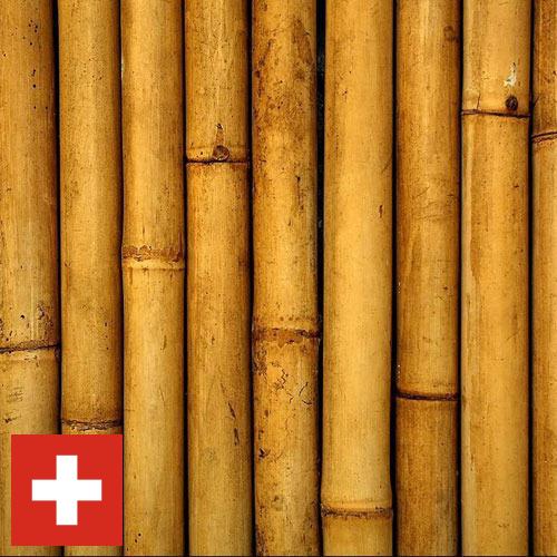 Бамбук из Швейцарии