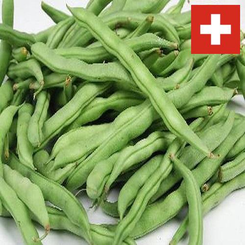 Бобы из Швейцарии