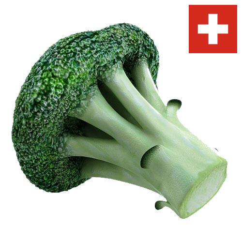 брокколи из Швейцарии