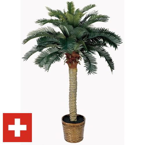 Деревья искусственные из Швейцарии