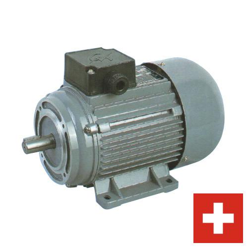 Электродвигатели из Швейцарии