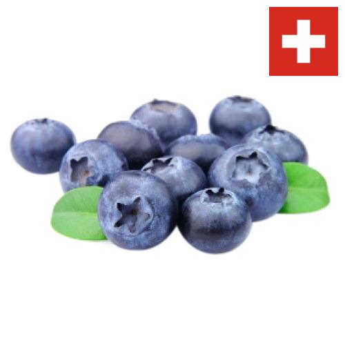 Голубика из Швейцарии