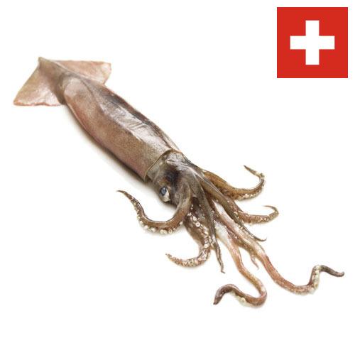 Кальмары из Швейцарии
