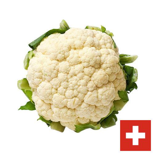 Капуста цветная из Швейцарии